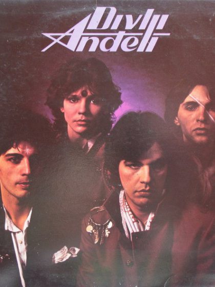 Divlji Anđeli